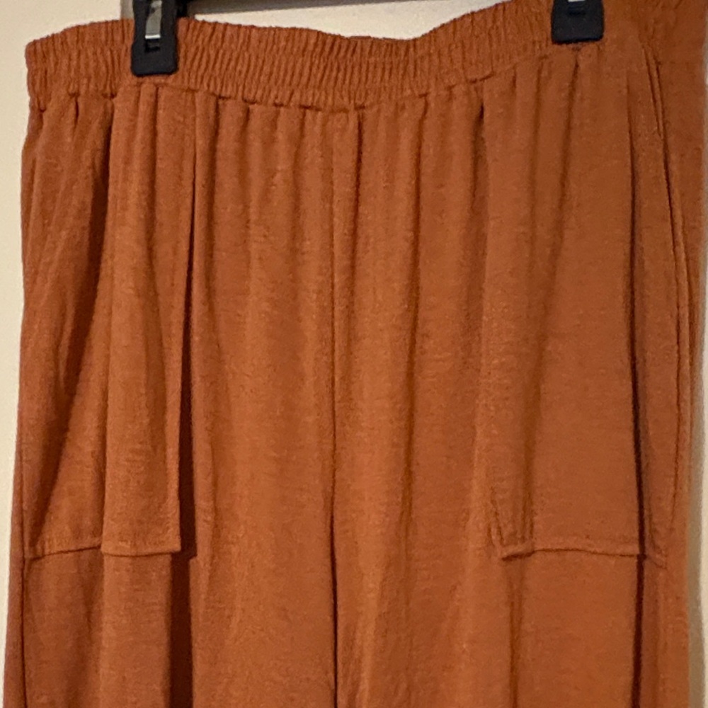 Rust Wide-Leg Pants - Picture 3 of 3